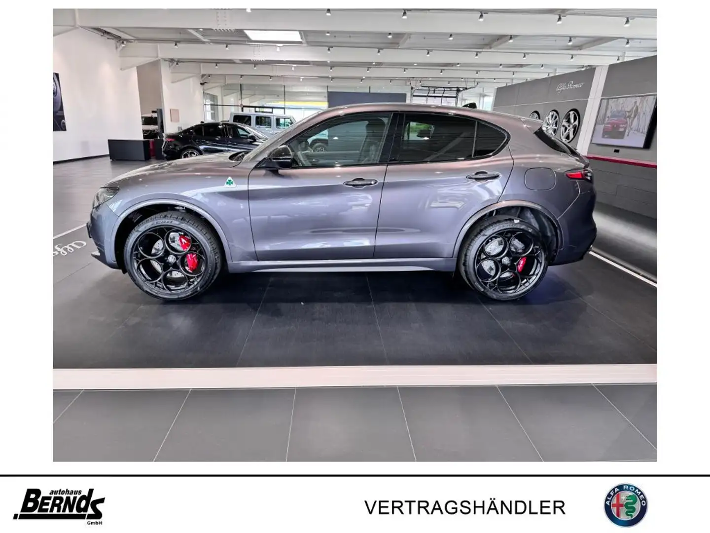 Alfa Romeo Stelvio V6 2.9 Bi-T. Quadrifoglio TECHNOLOGIE-P.  21 Серый - 2