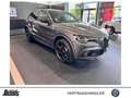 Alfa Romeo Stelvio V6 2.9 Bi-T. Quadrifoglio TECHNOLOGIE-P.  21 Grey - thumbnail 5