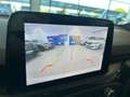 Ford Focus ST LINE 1.0 EcoBoost 125 CV 6mt 53000 km Blanc - thumbnail 11