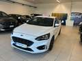 Ford Focus ST LINE 1.0 EcoBoost 125 CV 6mt 53000 km Blanc - thumbnail 2
