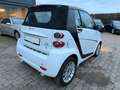 smart forTwo Micro Hybrid+Ratenzahlung ohne Bank+Tüv Neu Weiß - thumbnail 3
