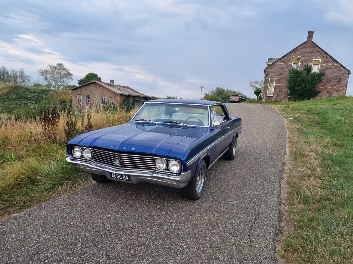 Buick Skylark Skylark Albastru - 2