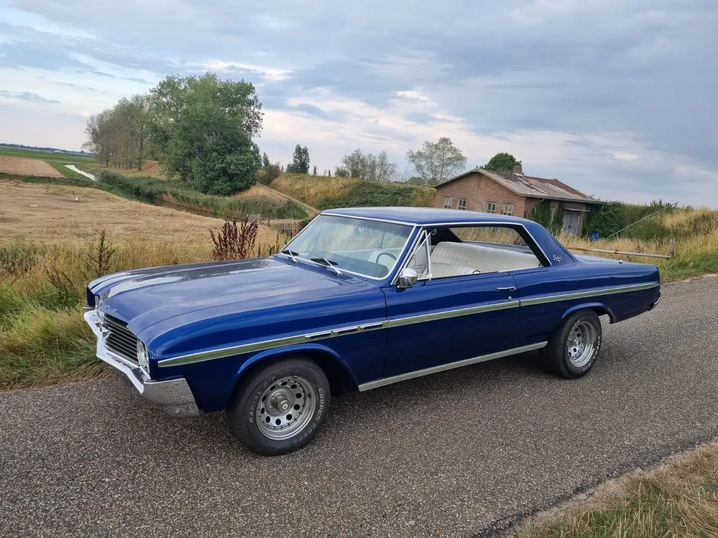 Buick Skylark Skylark Albastru - 1