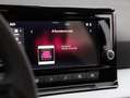 SEAT Ibiza Reference Edition 1.0 Grau - thumbnail 10