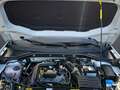 Volkswagen T-Roc 1.0 TSI Goal+NAVI+LED+PDC+SHZ+APPCONN+CLIMATR Weiß - thumbnail 22