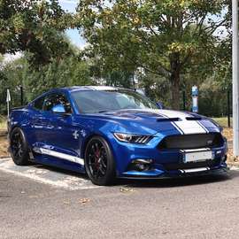 SUPER SNAKE 50TH