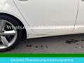 Audi A6 Avant 2.7 TDI S-Line Tüv Neu Weiß - thumbnail 13