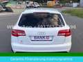 Audi A6 Avant 2.7 TDI S-Line Tüv Neu Weiß - thumbnail 3