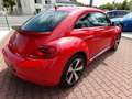 Volkswagen Beetle Lim. Sport, Fender Edition, Leder , Xenon Rot - thumbnail 6