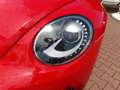 Volkswagen Beetle Lim. Sport, Fender Edition, Leder , Xenon Rot - thumbnail 9