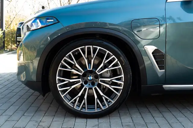 BMW X5 X5 view 9