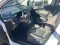 Ford Tourneo Courier Trend Weiß - thumbnail 12