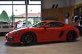 Porsche Cayman S //GT4 Conversion // Carbon Schalensitze Rot - thumbnail 5