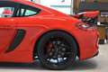 Porsche Cayman S //GT4 Conversion // Carbon Schalensitze Rot - thumbnail 8