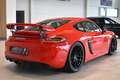 Porsche Cayman S //GT4 Conversion // Carbon Schalensitze Rot - thumbnail 12