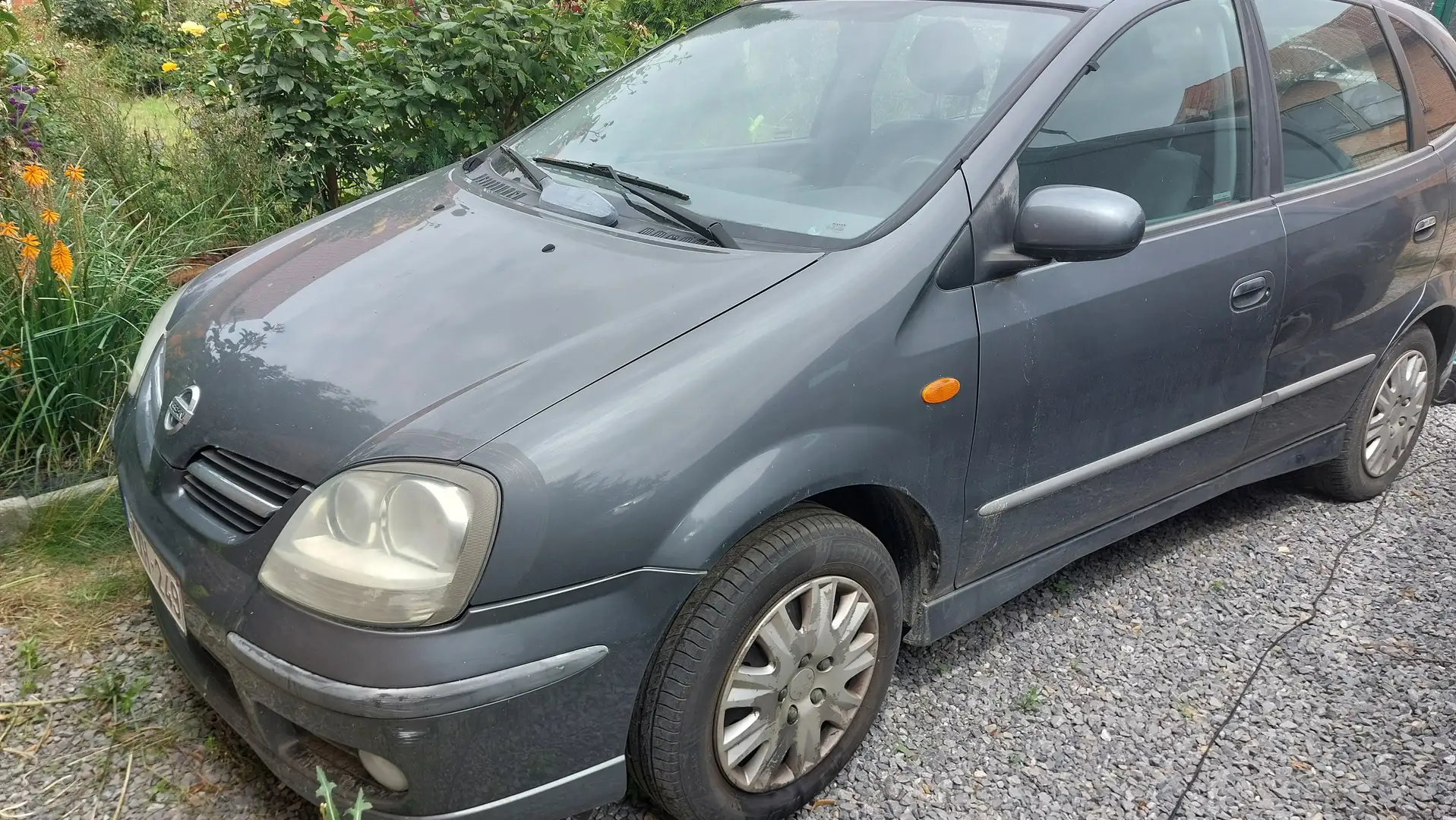 Nissan Almera Tino Almera Tino Aut. acenta - 1