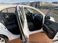 Nissan Micra 1.2 Acenta 5drs airco stoelverwarming cruise contr Blanco - thumbnail 48