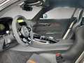 Mercedes-Benz AMG GT Black Series Trackpack Gris - thumbnail 6