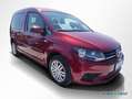 Volkswagen Caddy Life 1.4 TSI Trendline AHK Navi PDC Sitzh. Rot - thumbnail 2