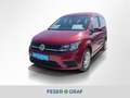 Volkswagen Caddy Life 1.4 TSI Trendline AHK Navi PDC Sitzh. Rood - thumbnail 1