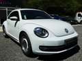 Volkswagen Coccinelle 1.2 TSI 105 Ch Vintage Bianco - thumbnail 8