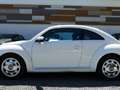 Volkswagen Coccinelle 1.2 TSI 105 Ch Vintage Wit - thumbnail 2
