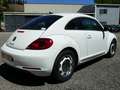 Volkswagen Coccinelle 1.2 TSI 105 Ch Vintage Bianco - thumbnail 5