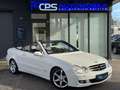 Mercedes-Benz CLK 200 Kompressor | Avantgarde | 2 Hand Weiß - thumbnail 10