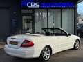 Mercedes-Benz CLK 200 Kompressor | Avantgarde | 2 Hand Weiß - thumbnail 7