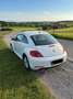 Volkswagen Beetle Design White - thumbnail 4