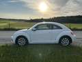 Volkswagen Beetle Design White - thumbnail 9