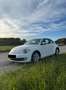 Volkswagen Beetle Design White - thumbnail 6