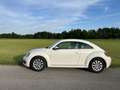 Volkswagen Beetle Design White - thumbnail 8