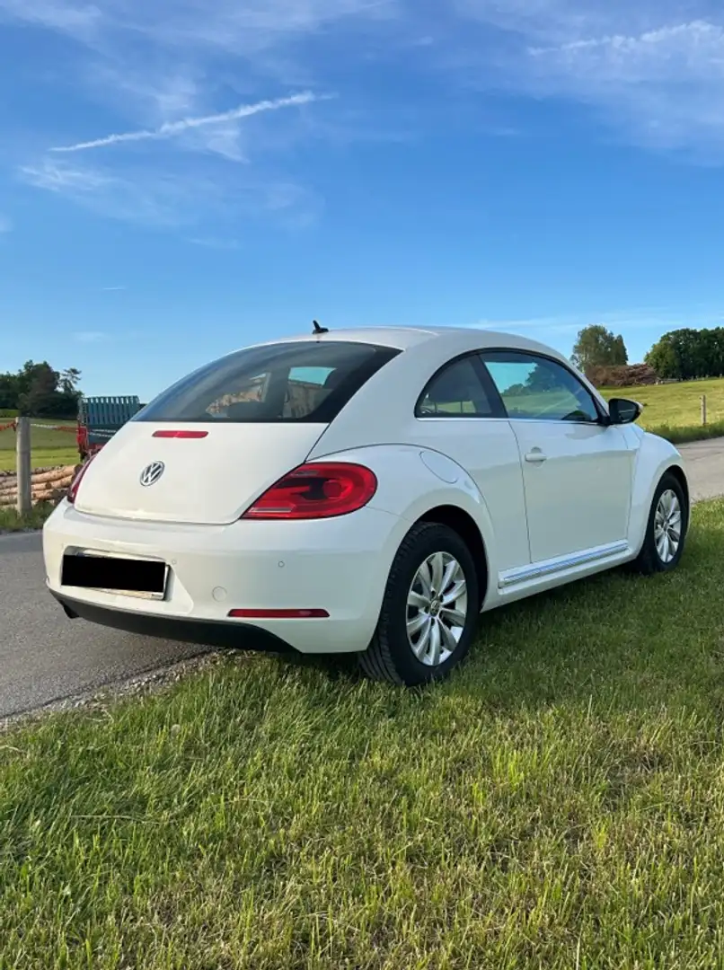 Volkswagen Beetle Design White - 2
