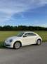 Volkswagen Beetle Design Weiß - thumbnail 16