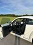 Volkswagen Beetle Design White - thumbnail 15
