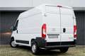 Opel Movano 2.2D 140 L2H2 Edition | Airco | DAB+ | 3-persoons Wit - thumbnail 8