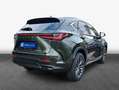 Lexus NX350h 4x4 Executive Alle Extras Modell2026 Verde - thumbnail 2