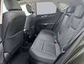 Lexus NX350h 4x4 Executive Alle Extras Modell2026 Verde - thumbnail 7