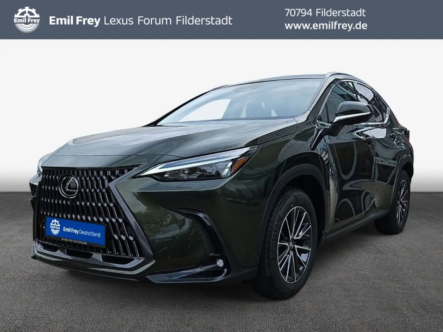 Lexus NX350h 4x4 Executive Alle Extras Modell2026 Vert - 1