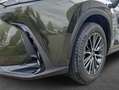 Lexus NX350h 4x4 Executive Alle Extras Modell2026 Verde - thumbnail 4