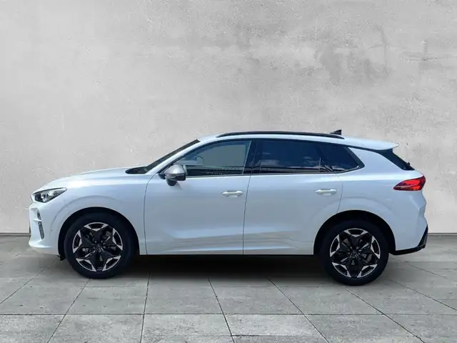 Cupra Terramar view 2