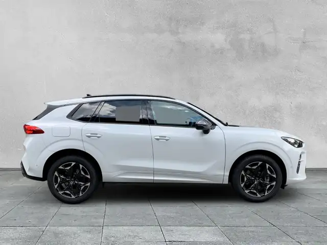 Cupra Terramar view 6