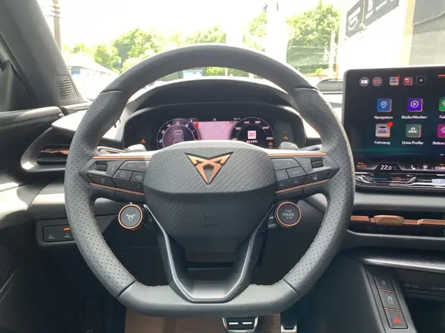 Cupra Terramar view 15