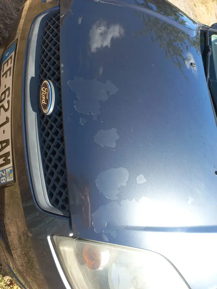 Ford Fiesta 3 portes — photo 7