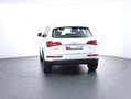 Audi Q5 3.0 TDI clean diesel quattro Weiß - thumbnail 6
