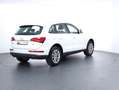Audi Q5 3.0 TDI clean diesel quattro Weiß - thumbnail 5