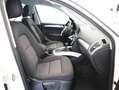 Audi Q5 3.0 TDI clean diesel quattro Weiß - thumbnail 9