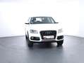 Audi Q5 3.0 TDI clean diesel quattro Weiß - thumbnail 2