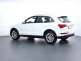 Audi Q5 3.0 TDI clean diesel quattro Weiß - thumbnail 7
